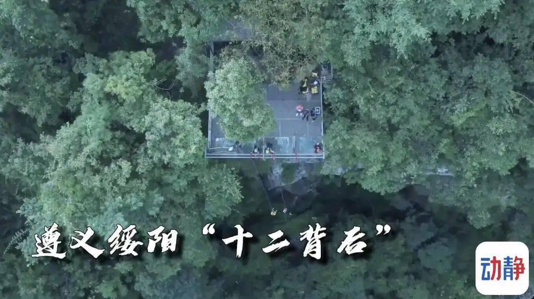 创作猫
